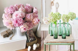 How to choose vases depending on what flowers you love